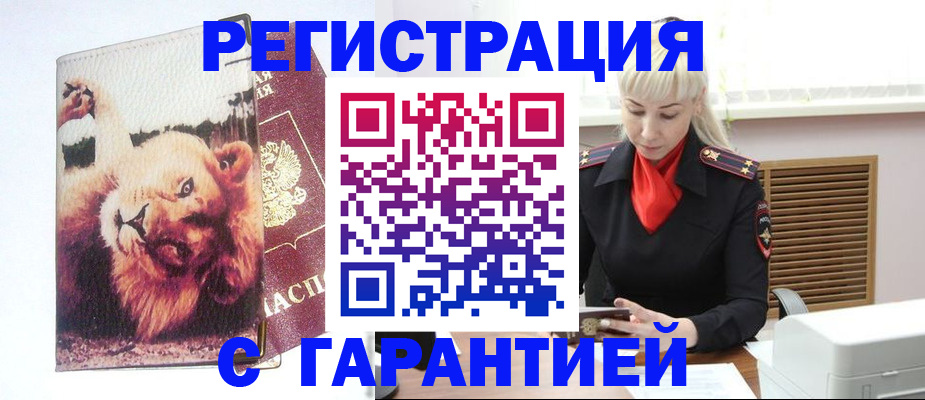 прописка от собственника в Михайловке